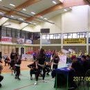 fest 62